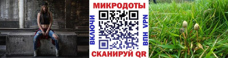 OMG зеркало  Николаевск-на-Амуре  Галлюциногенные грибы Cubensis 